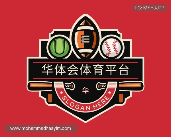 介绍华体会体育平台官网
