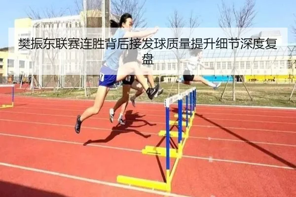 樊振东联赛连胜背后接发球质量提升细节深度复盘